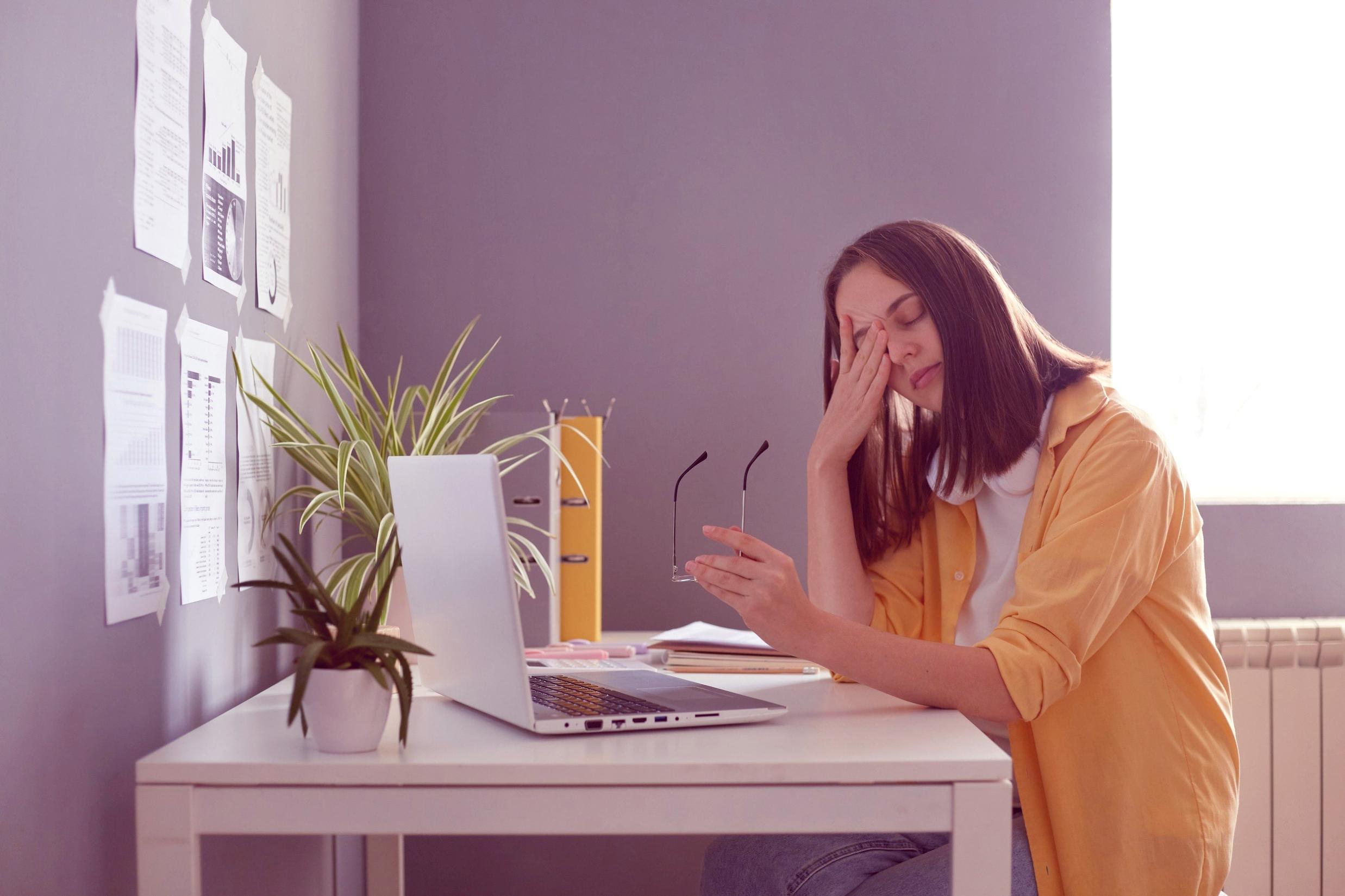 SEO tools interface display